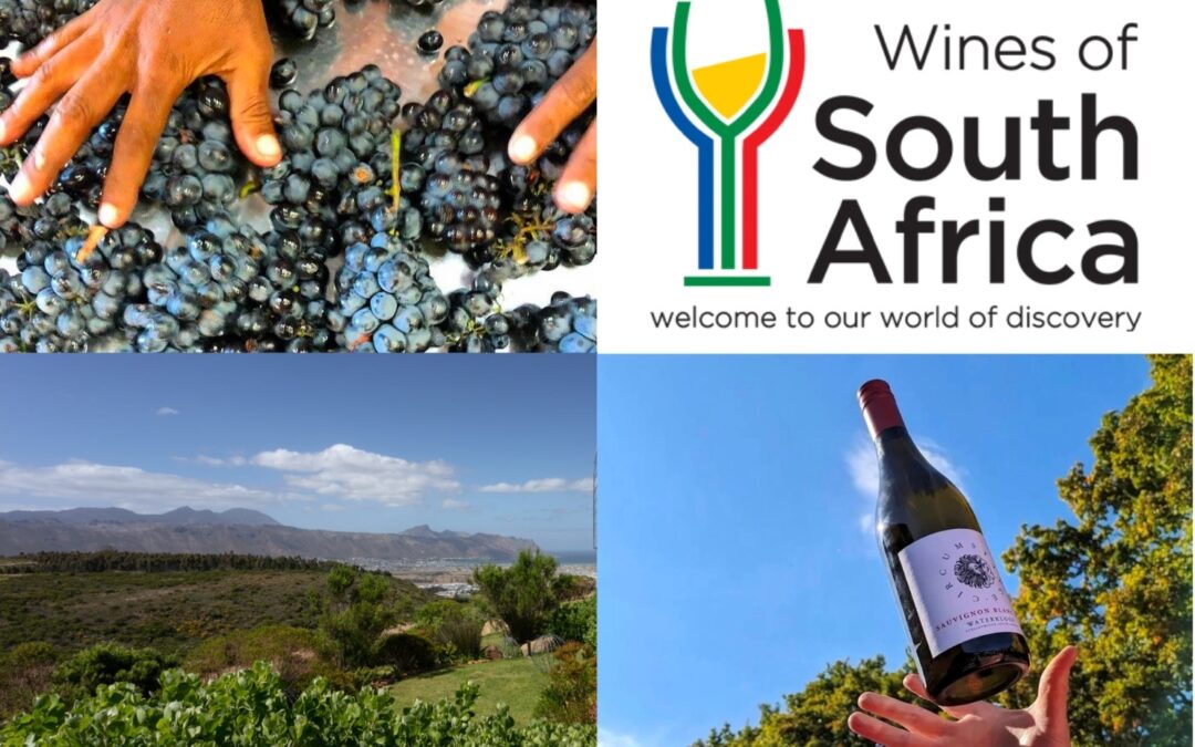 South African Wine Month